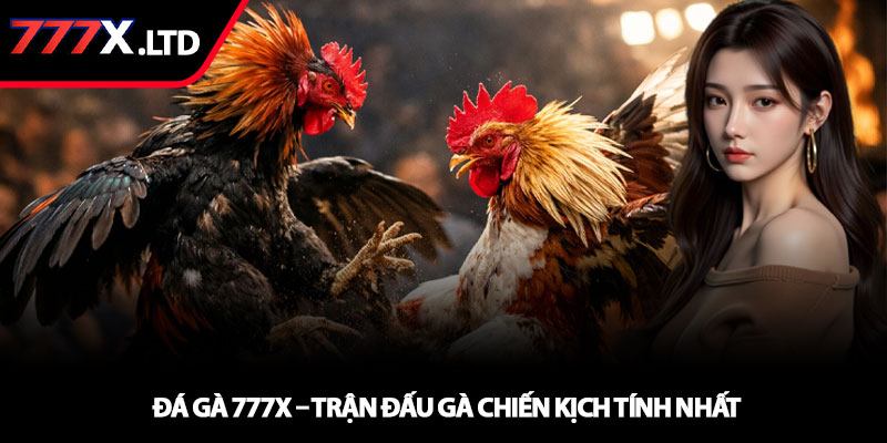Đá gà 777x – Trận đấu gà chiến kịch tính nhất 1 Đá gà 777x – Trận đấu gà chiến kịch tính nhất