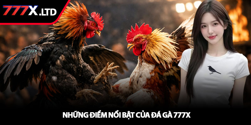 Đá gà 777x – Trận đấu gà chiến kịch tính nhất 2 Những điểm nổi bật của đá gà 777x