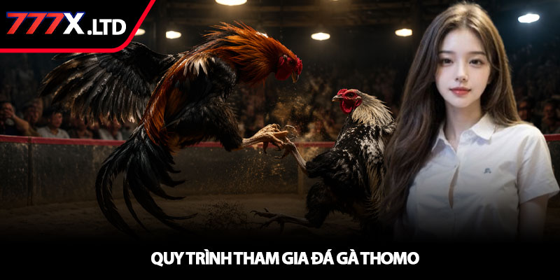 Đá gà thomo - Trải nghiệm thực chiến và hiệu quả tại 777x 3 Quy trình tham gia đá gà Thomo