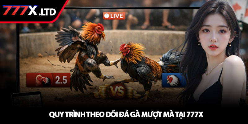 Xem đá gà trực tiếp - Trải nghiệm chuẩn HD tại 777x 3 Quy trình theo dõi đá gà mượt mà tại 777x