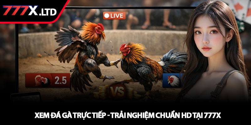 Xem đá gà trực tiếp - Trải nghiệm chuẩn HD tại 777x 2 Xem đá gà trực tiếp - Trải nghiệm chuẩn HD tại 777x